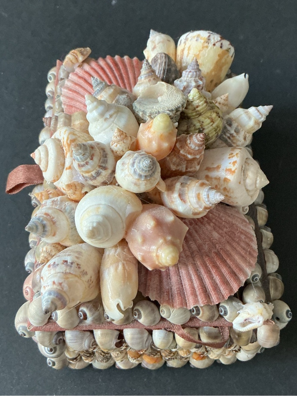 Seashell Accent Box in Pink and Cream — Decorative Home Accent - Picture 4 of 5